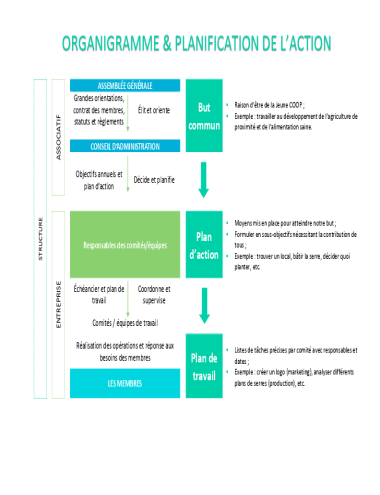 Organigramme et planification de l'action